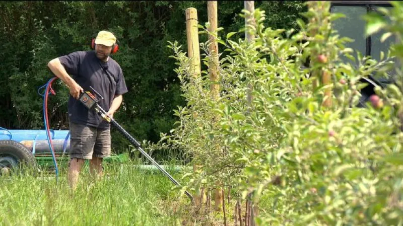 Ovocnáři bojují proti hlodavcům pomocí plynu