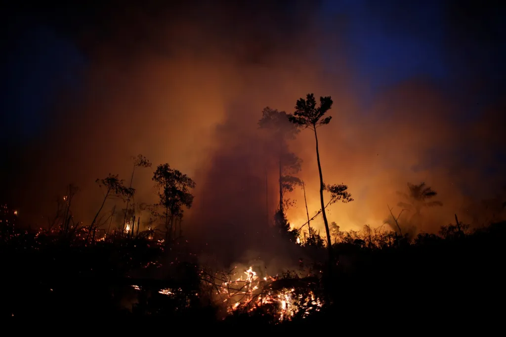 Amazonské pralesy v plamenech