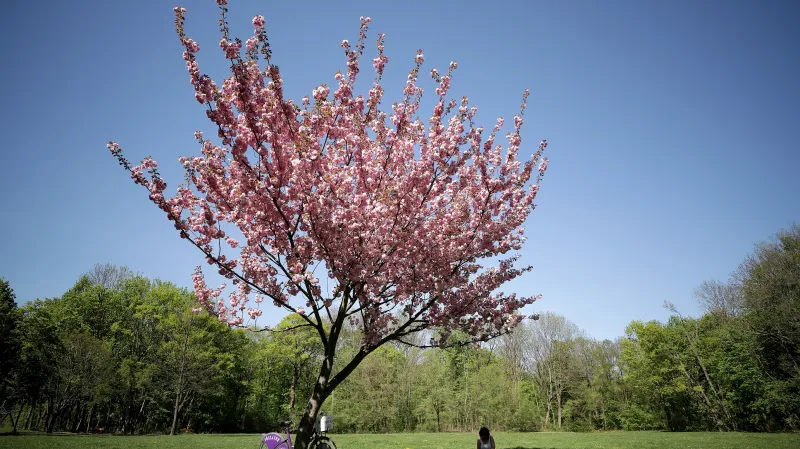 Meteorologové slibují slunečný jarní víkend