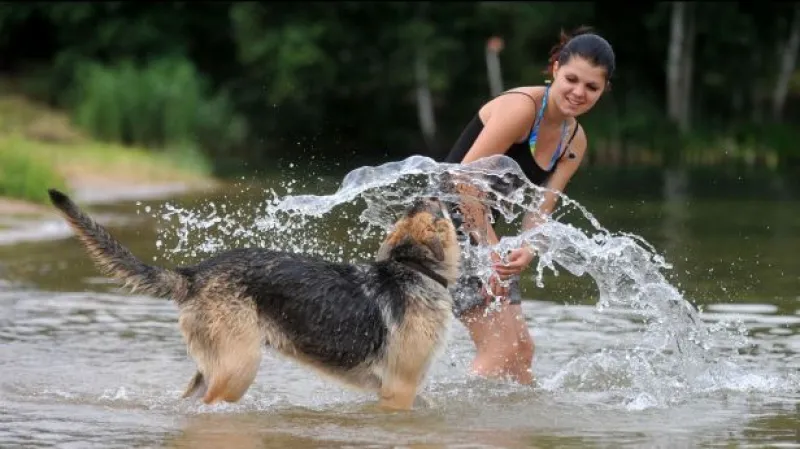 Nedělní vedro vylidnilo ulice a lidé hromadně prchali k vodě