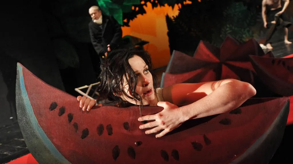 Romance pro křídlovku