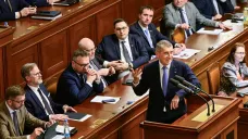 Andrej Babiš (ANO) hovoří v Poslanecké sněmovně