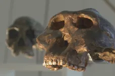 Nové archeologické metody naznačují, že lidé přišli do Evropy dřív, než se předpokládalo