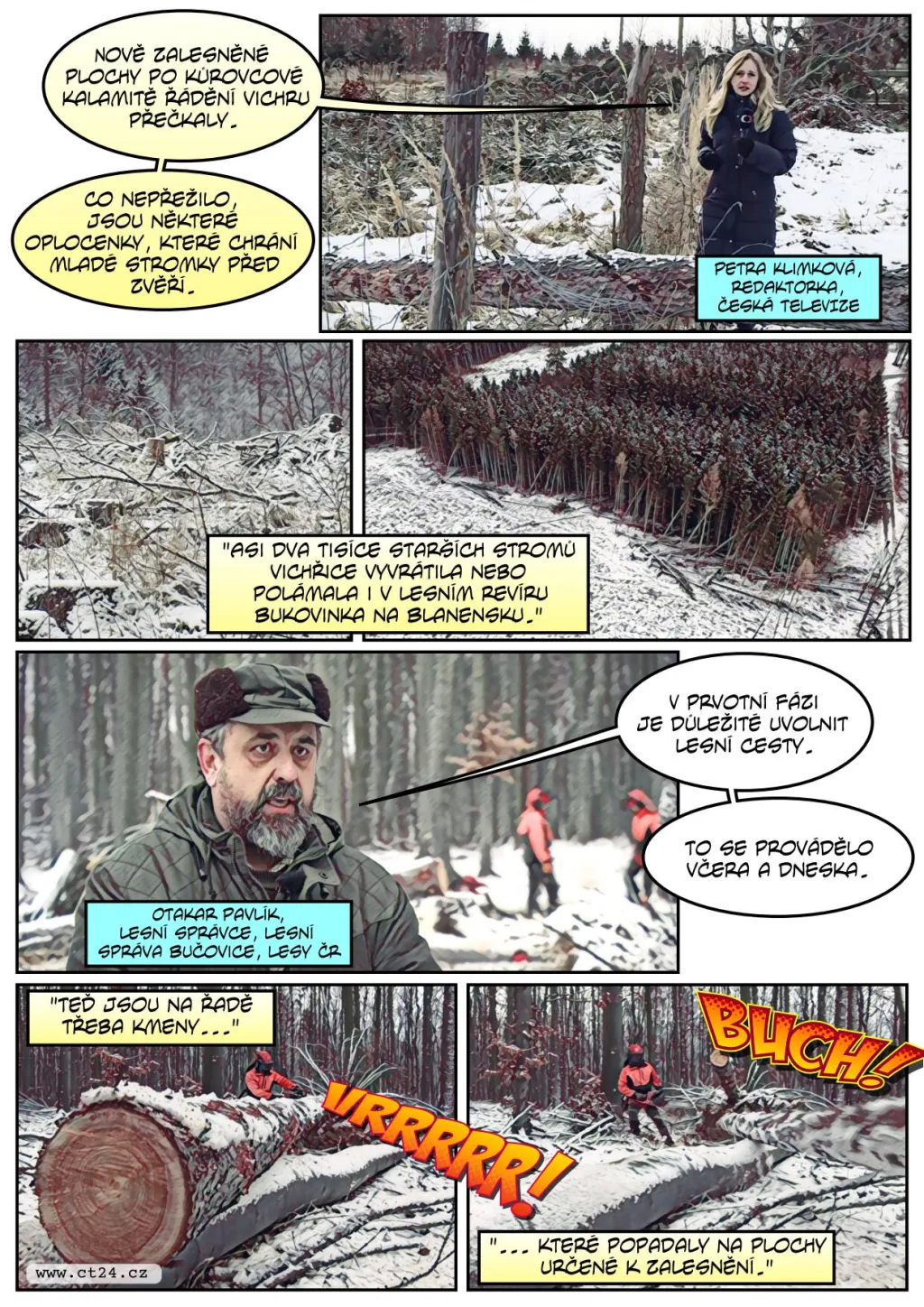 Následky silného větru v lesích