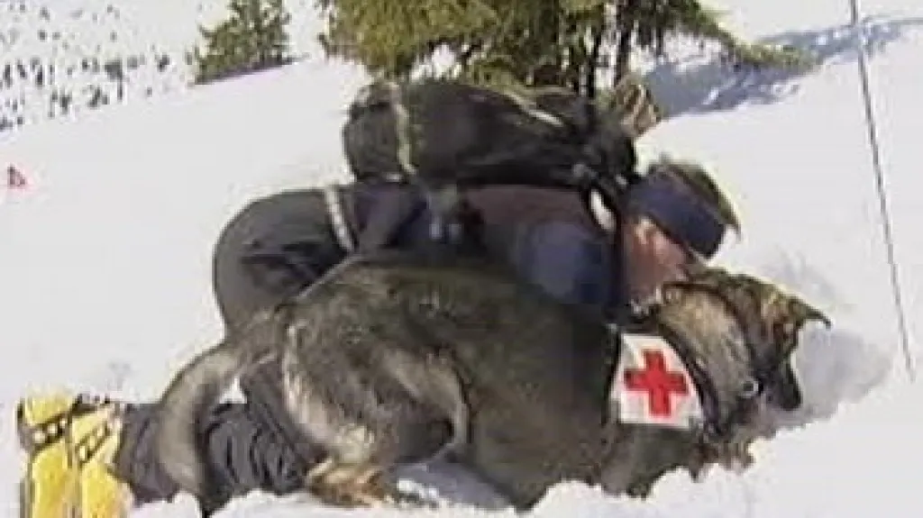 Vyprošťování z laviny