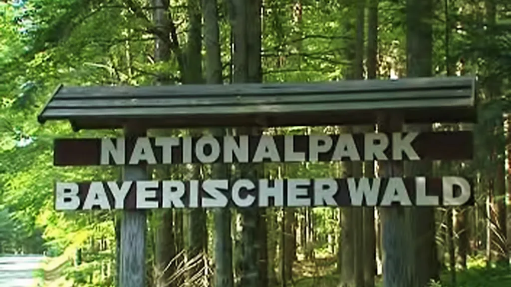 Národní park Bavorský les