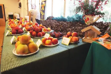 Regionální výstava ovoce, ovocných a okrasných dřevin v Boskovicích