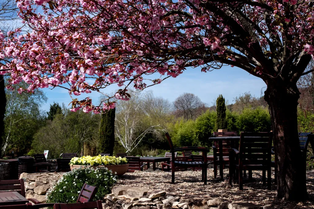Pohled do odpočinkové zóny v centru zahrady