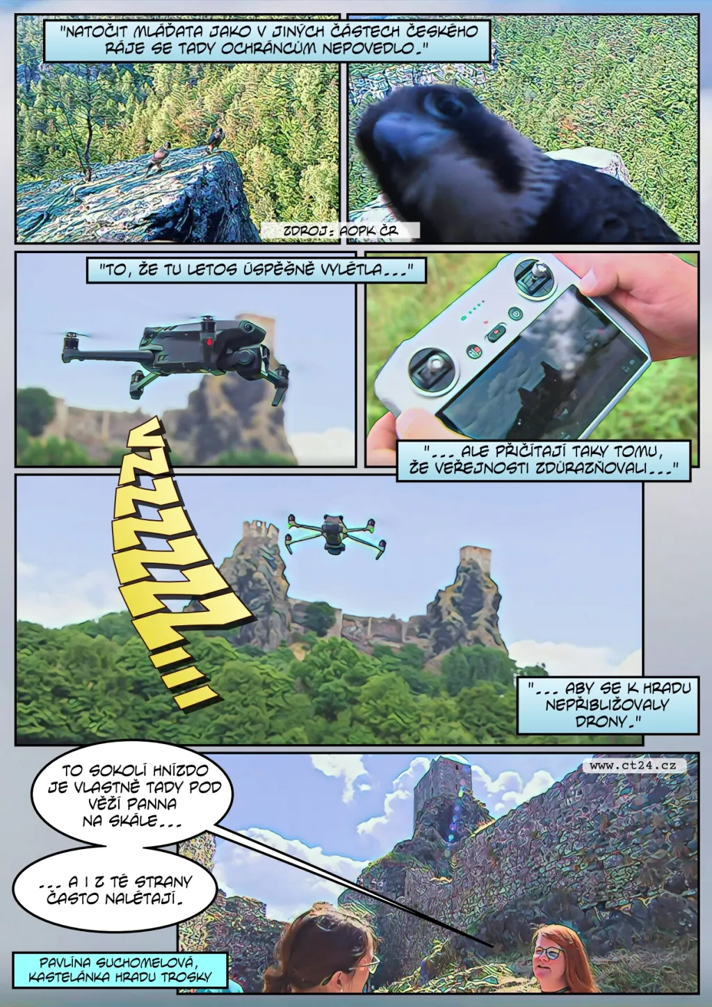 Sokoli vyvedli na hradě Trosky své mladé