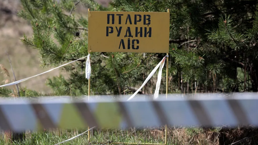 Červený les u Černobylu