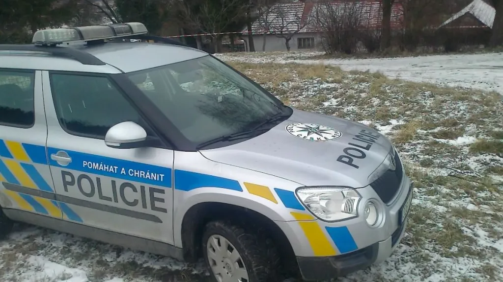 Policie