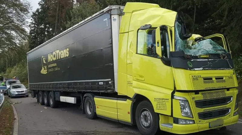 Padající větev poškodila kabinu kamionu