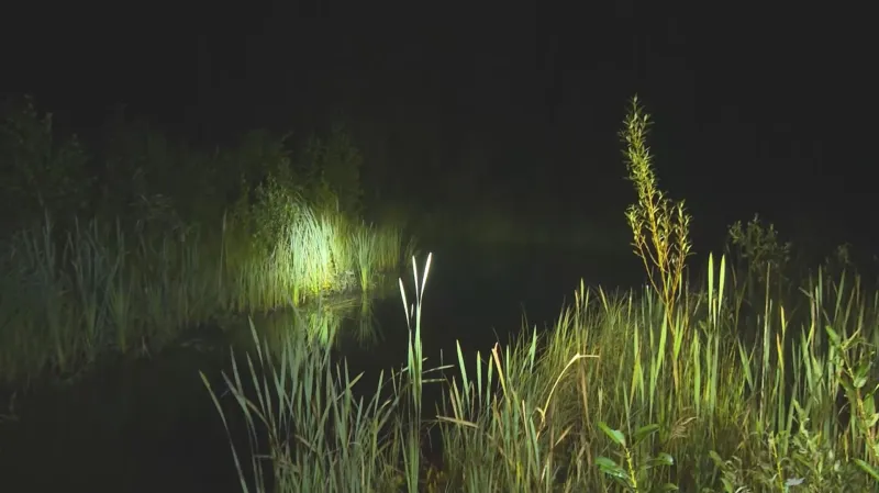 Pátrání po pohřešovaném Viktorovi