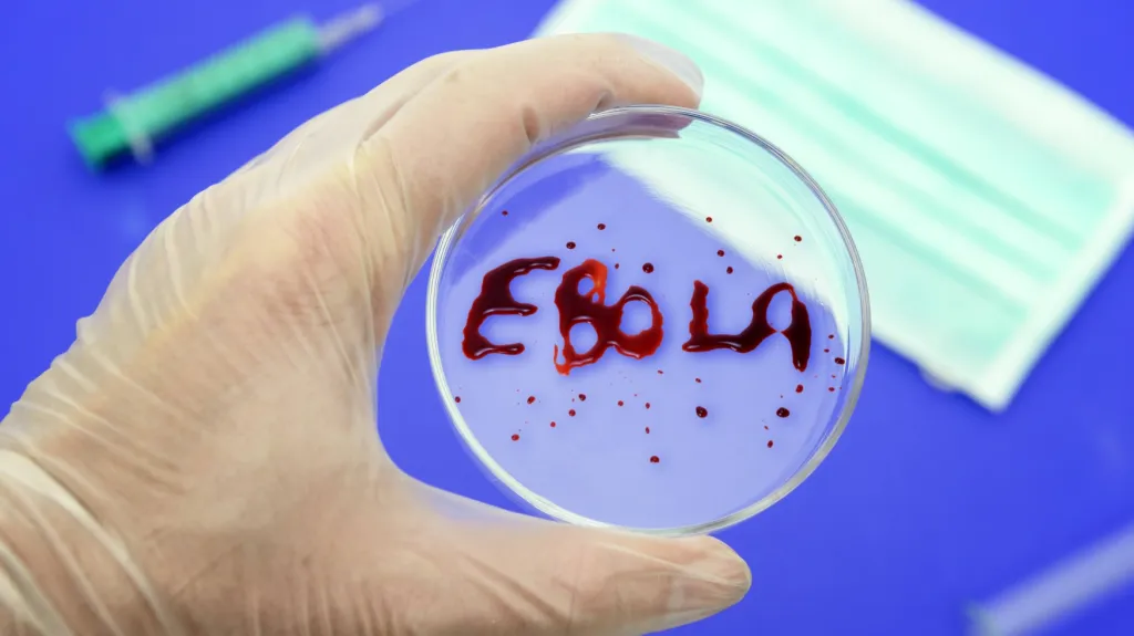 Epidemie eboly