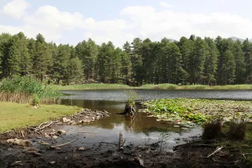 Dotace na zadržování vody v krajině se tenčí, resort chce do budoucna víc peněz