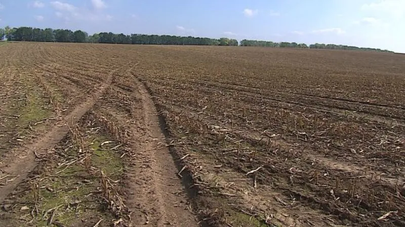 Stát chce výrazně zpřísnit podmínky prodeje zemědělské půdy