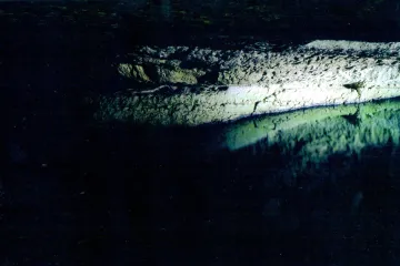 Hudebnost fotografických obrazů Erica Hurtady