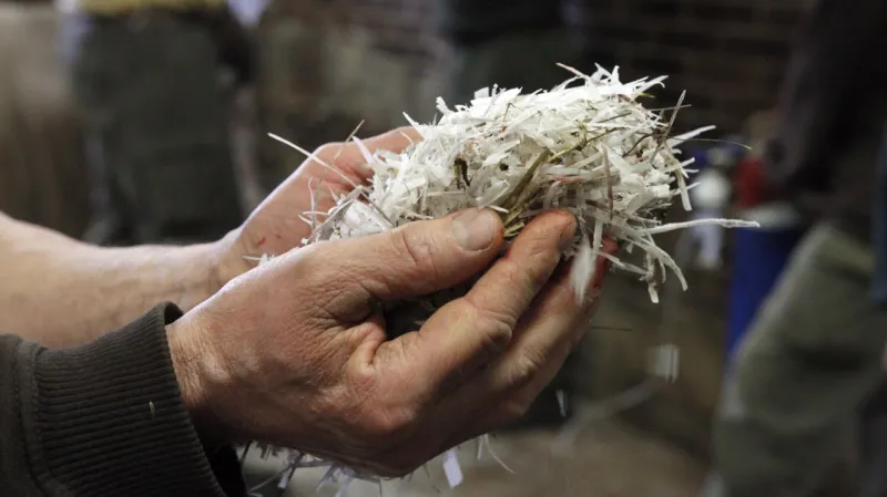 Hlavním důvodem úbytku nosorožců v přírodě je poptávka po jejich rohovině