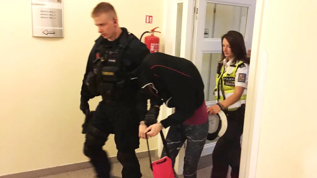 Ženě hrozí za vraždu až výjimečný trest