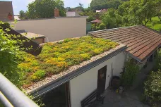 Brno odstartovalo dotace na zelené střechy. Měly by ochlazovat město