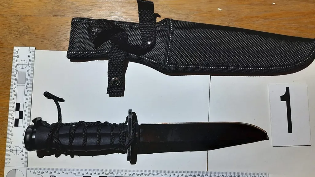 Vojenský nůž, který mladík podle kriminalistů použil