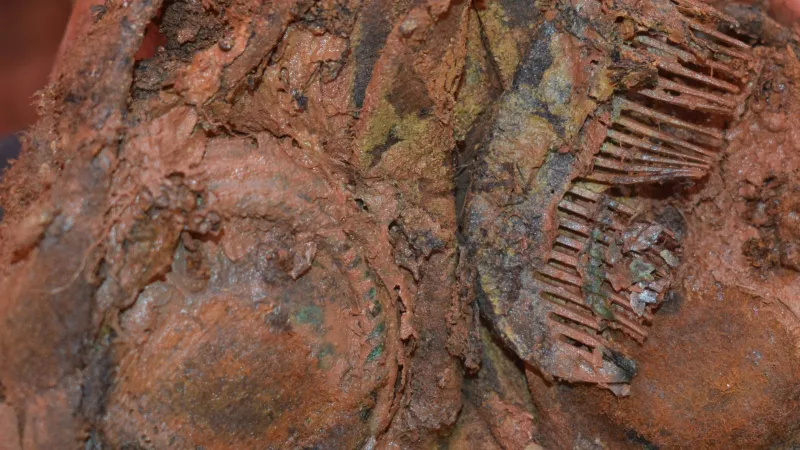 Obsah kapsy jednoho z rakouských vojáků