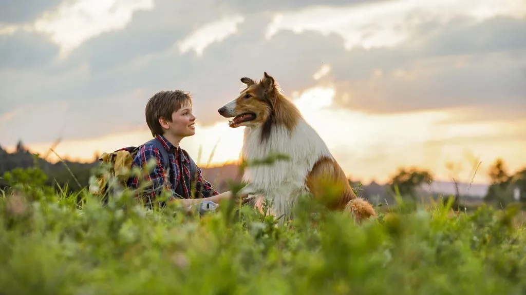 Lassie se vrací