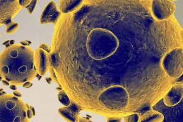 Nutnost, nebo riziko? Na cíleném promoření obyvatel nákazou se neshodnou ani odborníci