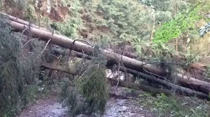 NO COMMENT: Tábor ve Studnici ohrožovala silná bouřka