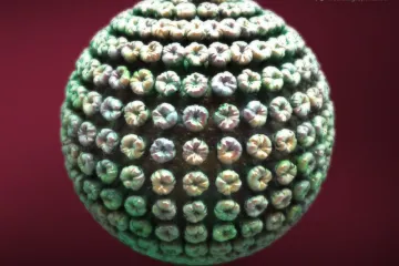 Žloutenka s námi je už 4500 let, prokázali vědci. Za její šíření mohla migrace v době bronzové