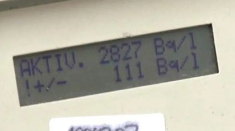 Maso bavorských divočáků je radioaktivní