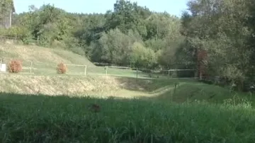 Pozemek ve Valašských Kloboukách