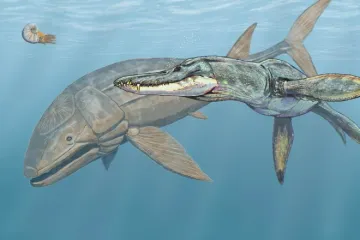 Pravěká ryba byla delší než největší žralok. A rychlejší, než si vědci dokázali představit