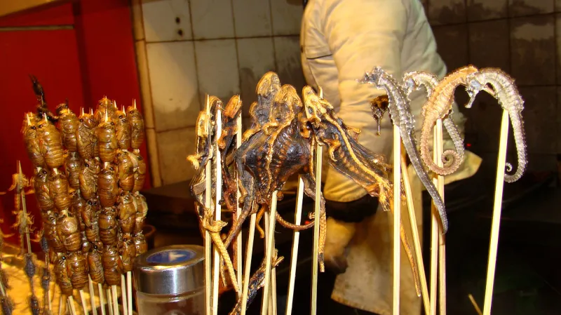 Koník na špejli na pekingském tržišti