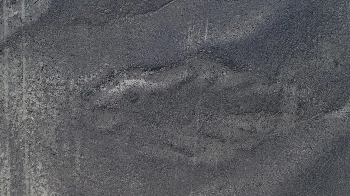 Ryba na planině Nazca