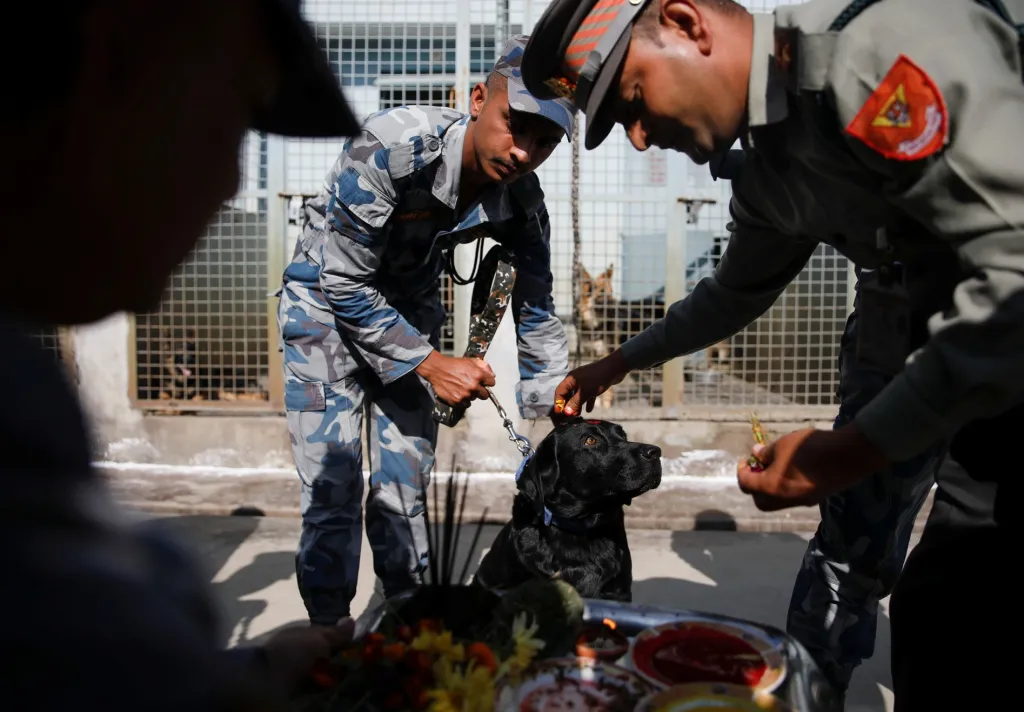 Přehlídka umění psů nepálské policie během hinduistického svátku Tihar v Bhaktapuru