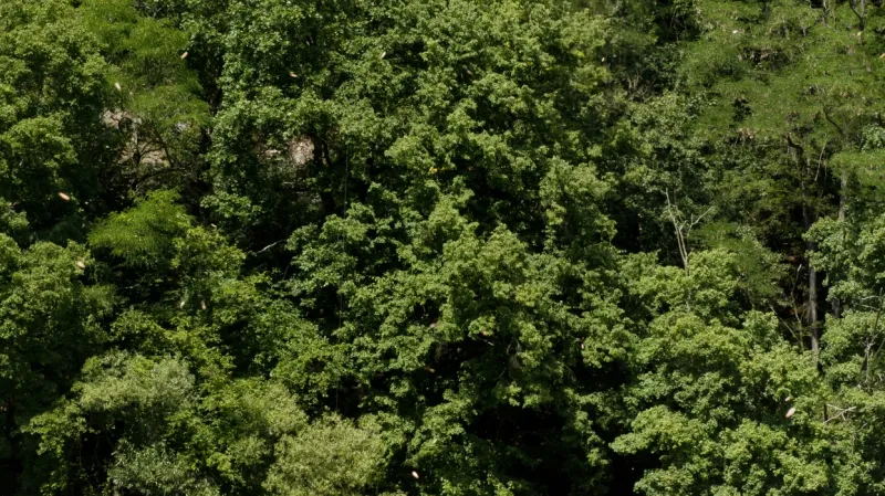 Simulovaná záchranná akce vodáků v Roztokách u Křivoklátu