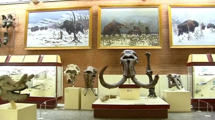 Mamutí výstava