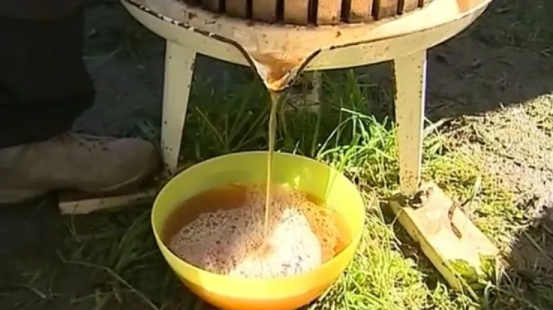 Živý vstup Josefa Kvasničky z Hostětína