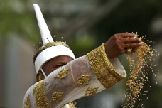 Pár bílých volů zahájil při ceremoniálu v Thajsku zemědělskou sezonu. Bude bohatá na rýži, tvrdí astrologové