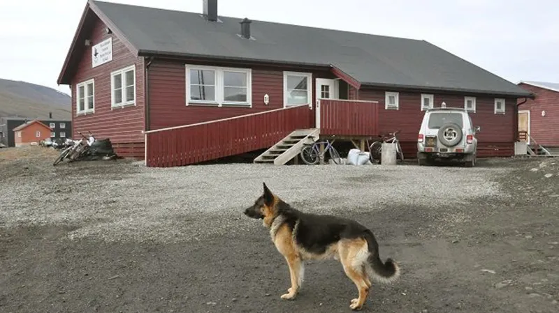 Jihočeská univerzita má na Špicberkách svou polární stanici
