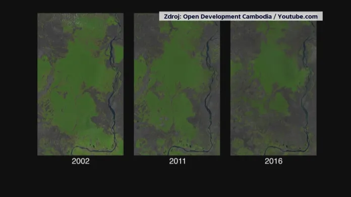Proměna kambodžského pralesa v důsledku kácení