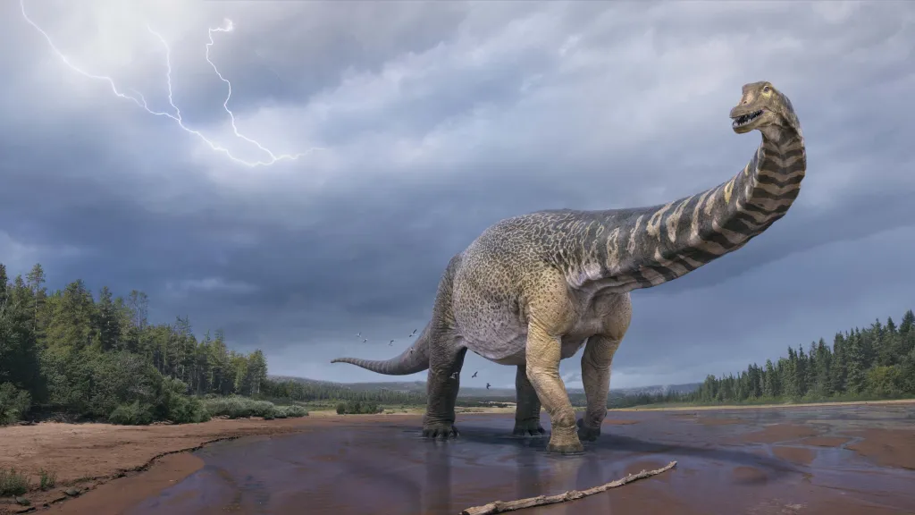 Australotitan cooperensis