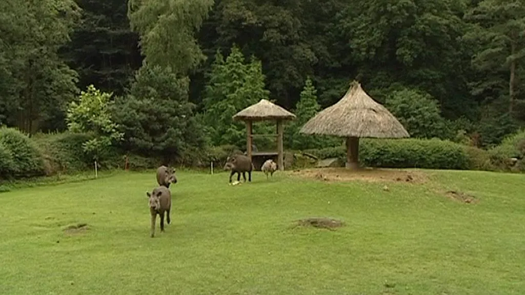 Jihlavská ZOO
