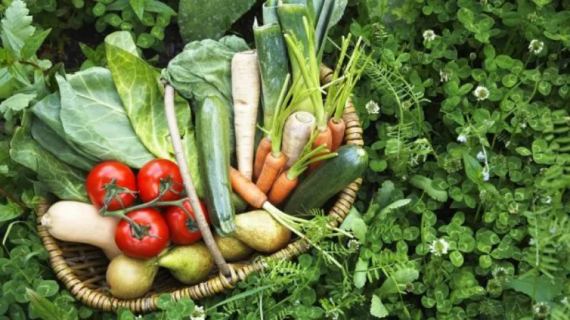 Reportáž Barbory Lukšové o biopotravinách