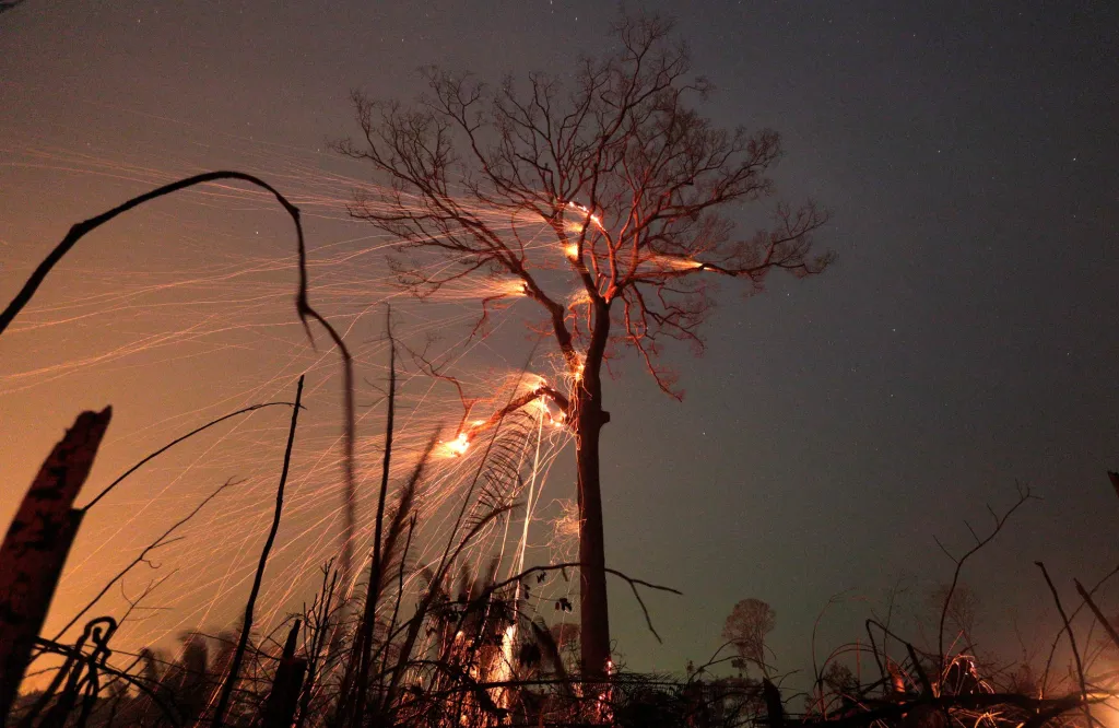 Rozsáhlé požáry založené farmáři v Amazonském pralese byly jedním z hlavních témat, která se objevila na stránkách většiny světových médií. Snímek z Rio Pardo, Rondonia, Brazílie, 15. září 2019