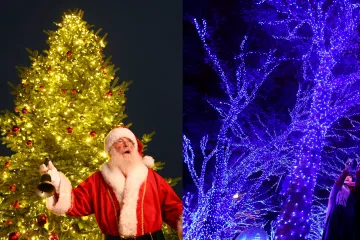 Prohlédněte si vánoční stromky napříč Českem i světem