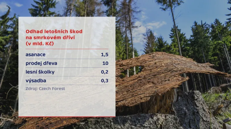 Odhad letošních škod na smrkovém dříví