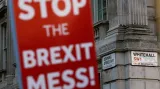 Státní tajemnice pro EU: Chceme se vyhnout brexitu bez dohody, míč je ale na britské straně