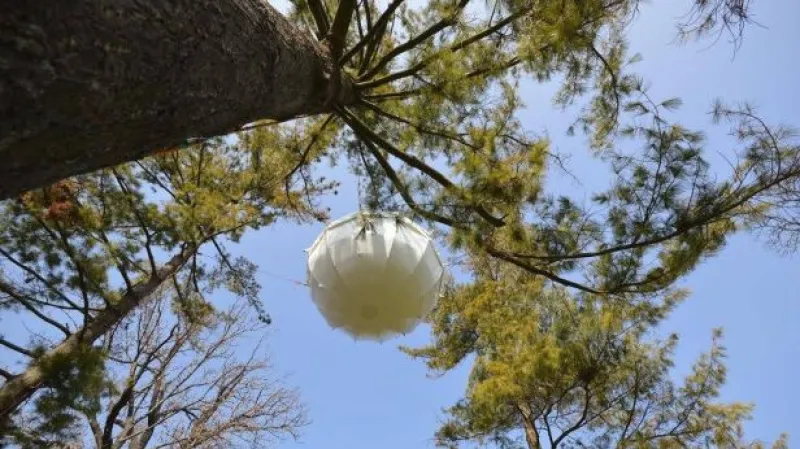 Vstup Barbory Žítkové z brněnského parku Lužánky